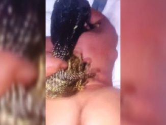 Fat Booty Massage Therapist Allowed Me To Fuck