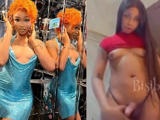 Naija Transgender Jay Boogie Nude Video Leaked