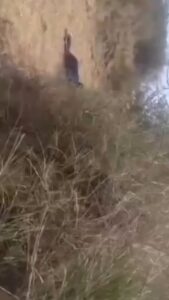 Busted! Indian Couple Caught Having Sex On A Farm In Public (18+) Busted! Indian Couple Caught Having Sex On A Farm In Public (18+)