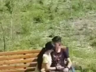 Asian Couple Having Sex In A Park In Public (18+)