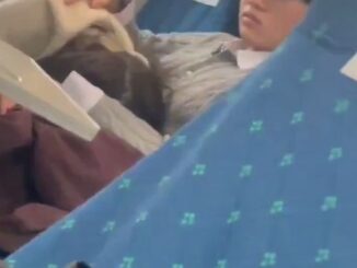 Chinese Girl Caught Giving Blow Job On A Train In Public (18+)