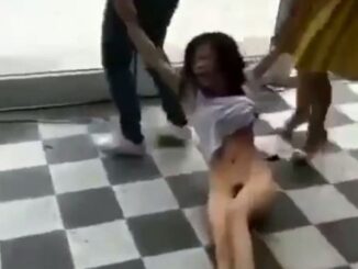 Chinese Sidechick With Hairy Pussy Stripped Naked In Public And Dragged Outside (18+)
