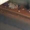 Crazy Homeless Couple Fucking In Public In Kenya (18+)