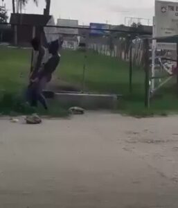 Mad Man Caught Having Sex With Mad Woman In Public (18+)