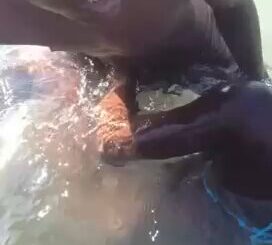 Mzansi Couple Having Sex On The Beach In Public (18+)