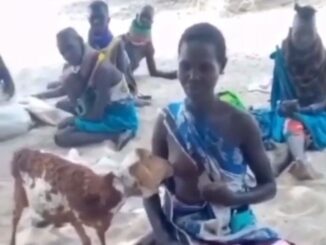 African Girl With Naked Breasts Feeding A Goat In Public (18+)