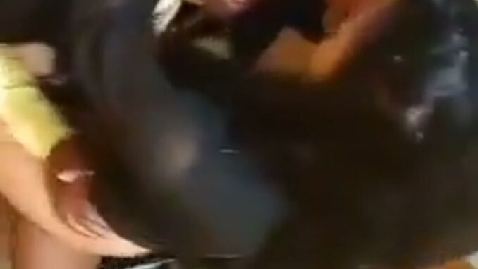 American Couples Busted While Having Sex In Public Toilet (18+)