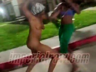 Black American Girl Fighting Naked In Public (18+)