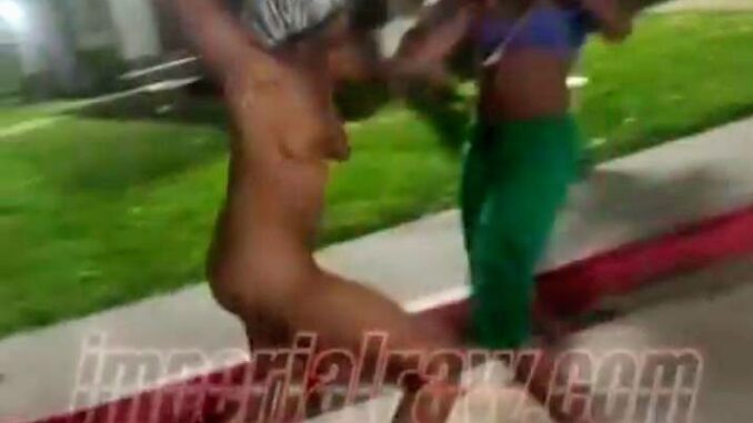 Black American Girl Fighting Naked In Public (18+)