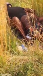 Crazy Mzansi Couple Having Sex In The Bush In Public (18+)