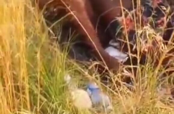 Crazy Mzansi Couple Having Sex In The Bush In Public (18+)