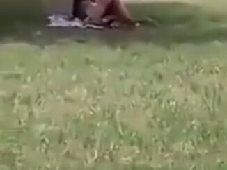 Crazy White European Couple Caught Having Sex On A Field In Public (18+)