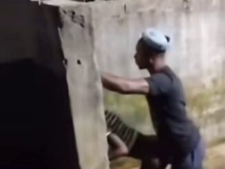 Mzansi Girl Fucked In The Backyard In Public (18+)