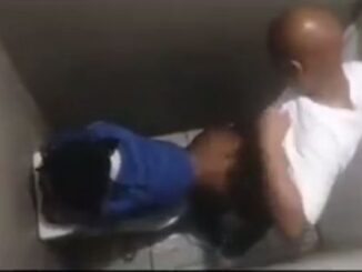Mzansi Girl With Big Ass Fucked In Public Toilet (18+)