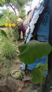 Another Crazy Indian Couple Busted While Having Sex In The Bush (18+) Another Crazy Indian Couple Busted While Having Sex In The Bush (18+)
