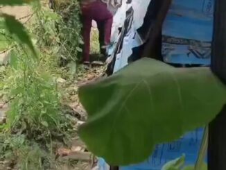 Another Crazy Indian Couple Busted While Having Sex In The Bush (18+)
