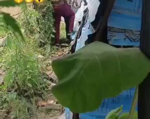Another Crazy Indian Couple Busted While Having Sex In The Bush (18+)
