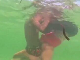 Black Couple Having Sex In Water In Public (18+)