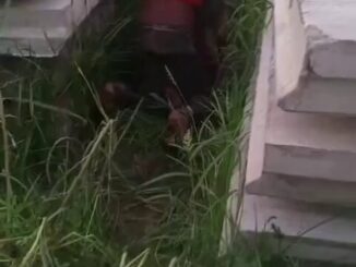 Crazy Black Guy Seen Fucking Girl With Big Ass In The Bush (18+)