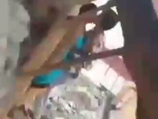Horny Indian Couple Fucking In Public (18+)