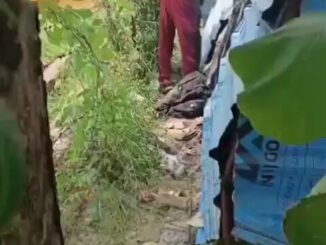 Indian Couple Busted While Having Sex In The Bush (18+)