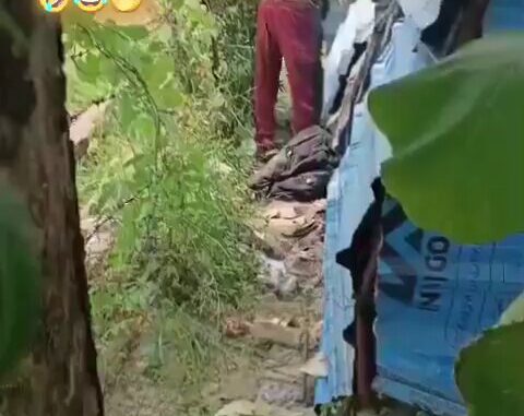 Indian Couple Busted While Having Sex In The Bush (18+)