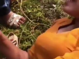 Indian Girl Fucked On A Farm (18+)