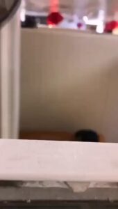 Neighbor Having Sex With American Cheating Wife (18+) Neighbor Having Sex With American Cheating Wife (18+)
