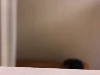 Neighbor Having Sex With American Cheating Wife (18+)
