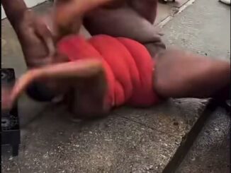 Pussy Exposed As Big Black Chicks Are Seen Fighting (18+)