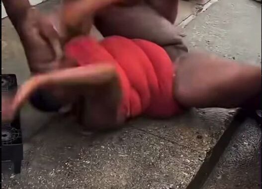 Pussy Exposed As Big Black Chicks Are Seen Fighting (18+)