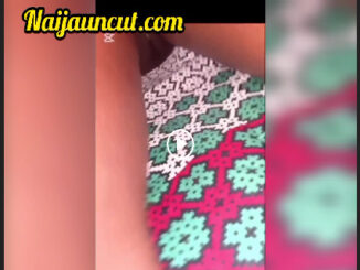 Upskirt Pussy Videos Downloads Porn Videos
