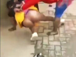 Ass Exposed: African Girl Stripped While Fighting In Public (18+)