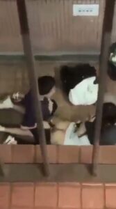 Chinese Guys Seen Having Threesome Sex With Prostitute In Public (Full Video 18+) Chinese Guys Seen Having Threesome Sex With Prostitute In Public (Full Video 18+)
