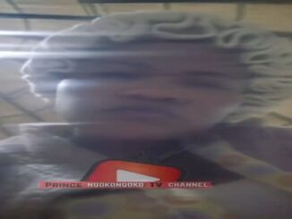King Misuzulu Leaked Footage Of Zulu King Wife