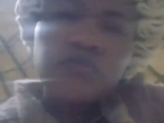 King Misuzulu Trending Video: Leaked Footage of Zulu King Berating Wife Goes Viral!