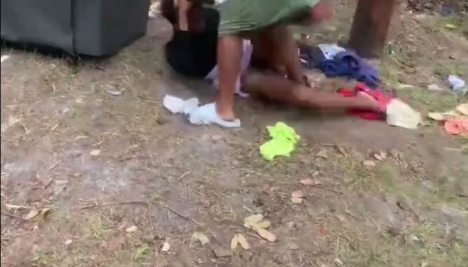 Pussy Exposed In Public As Black Girls Are Seen Fighting Over A Man (18+)